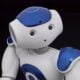 Nao V5 Evolution humanoid robot and associated merchandise and components (robot; poster; manuals; components)