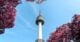 Top 50 Korean Phrases You Must Know Before Your South Korea Trip 1 low angle photo of n seoul tower