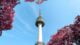 Top 50 Korean Phrases You Must Know Before Your South Korea Trip 5 low angle photo of n seoul tower